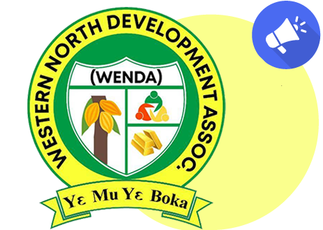 wendaghana.com